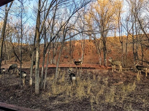 Tiny photo for 344 Plainview Place, Manitou Springs, CO 80829 (MLS # 8361838)