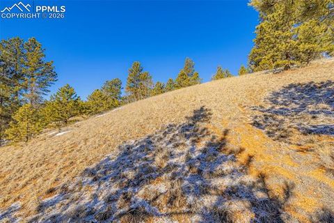 Photo of 772 E Bison Creek Trail, Florissant, CO 80816 (MLS # 9195535)