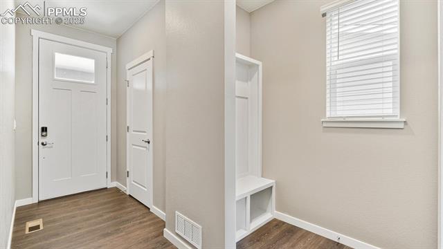 11703 Reagan Ridge Drive