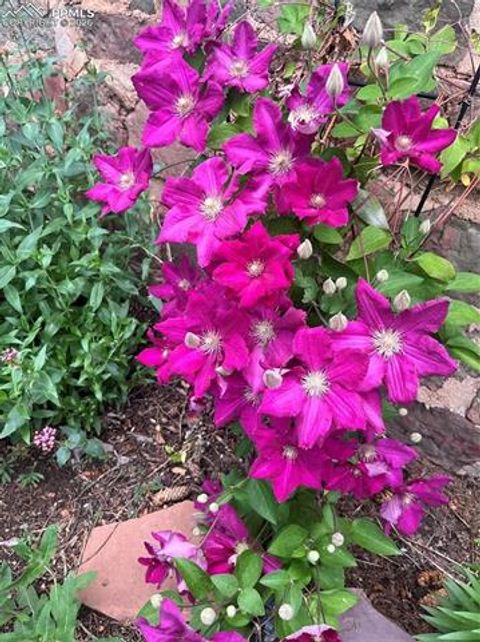 Tiny photo for 210 Mesa Avenue, Manitou Springs, CO 80829 (MLS # 5788659)