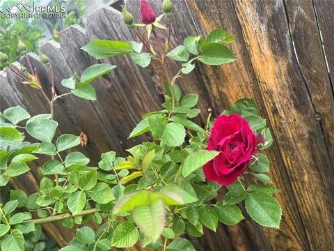 Tiny photo for 210 Mesa Avenue, Manitou Springs, CO 80829 (MLS # 5788659)