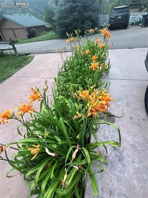 Tiny photo for 210 Mesa Avenue, Manitou Springs, CO 80829 (MLS # 5788659)