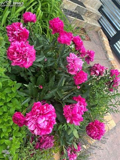 Tiny photo for 210 Mesa Avenue, Manitou Springs, CO 80829 (MLS # 5788659)