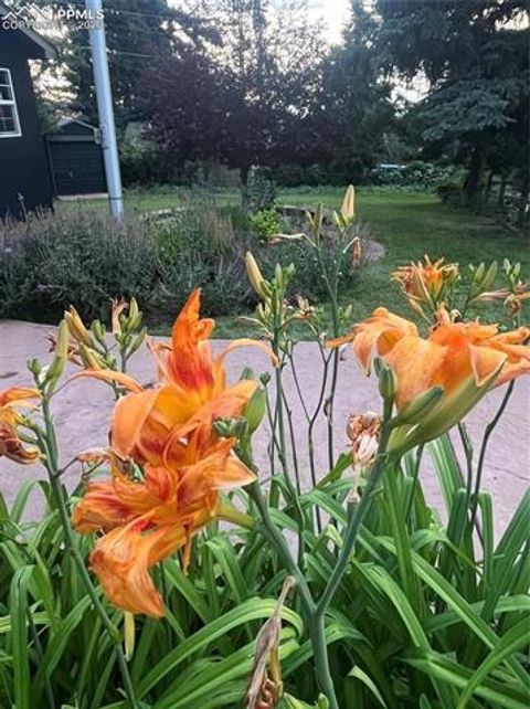 Tiny photo for 210 Mesa Avenue, Manitou Springs, CO 80829 (MLS # 5788659)