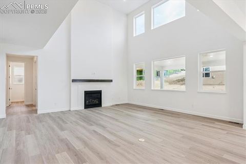 Tiny photo for 16869 Starfall Drive, Monument, CO 80132 (MLS # 4650531)