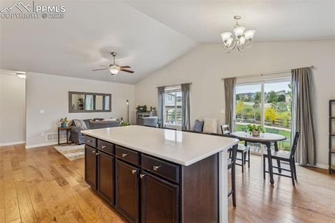 Tiny photo for 1240 Night Blue Circle, Monument, CO 80132 (MLS # 9721944)