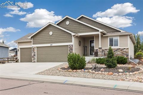 Tiny photo for 1240 Night Blue Circle, Monument, CO 80132 (MLS # 9721944)