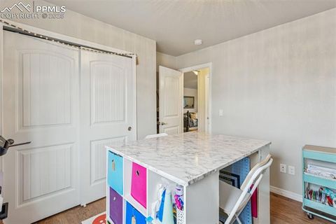 Tiny photo for 1240 Night Blue Circle, Monument, CO 80132 (MLS # 9721944)