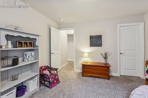 Tiny photo for 1240 Night Blue Circle, Monument, CO 80132 (MLS # 9721944)