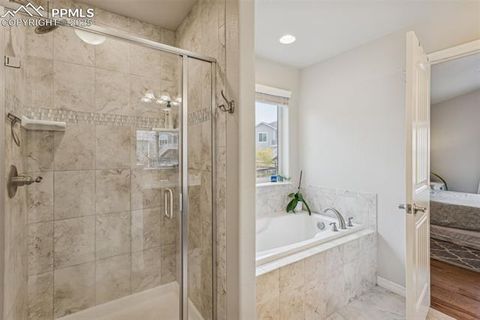 Tiny photo for 1240 Night Blue Circle, Monument, CO 80132 (MLS # 9721944)