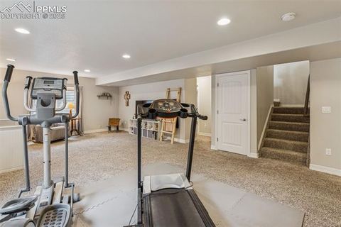 Tiny photo for 1240 Night Blue Circle, Monument, CO 80132 (MLS # 9721944)