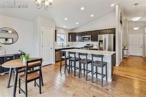 Tiny photo for 1240 Night Blue Circle, Monument, CO 80132 (MLS # 9721944)