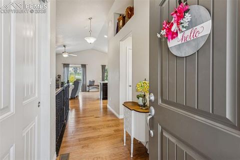 Tiny photo for 1240 Night Blue Circle, Monument, CO 80132 (MLS # 9721944)