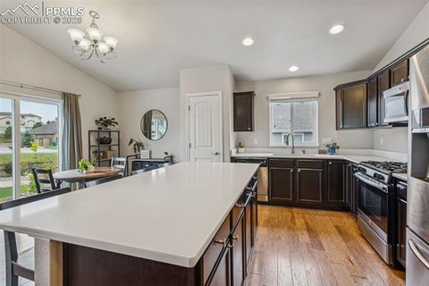 Tiny photo for 1240 Night Blue Circle, Monument, CO 80132 (MLS # 9721944)