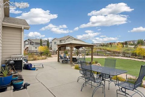 Tiny photo for 1240 Night Blue Circle, Monument, CO 80132 (MLS # 9721944)