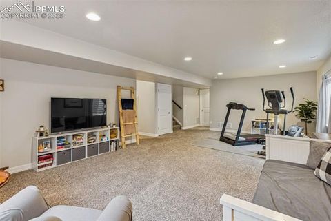 Tiny photo for 1240 Night Blue Circle, Monument, CO 80132 (MLS # 9721944)