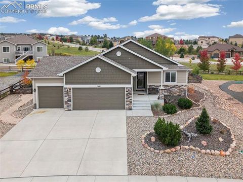 Tiny photo for 1240 Night Blue Circle, Monument, CO 80132 (MLS # 9721944)