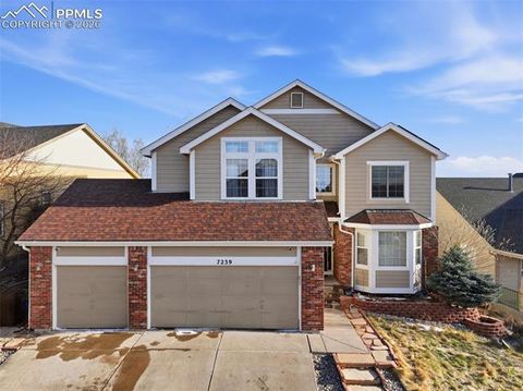Photo of 7239 Withers Place, Colorado Springs, CO 80922 (MLS # 4971394)