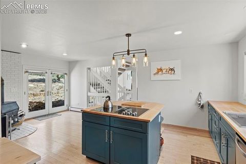 810 Winding hills Road Monument CO 80132