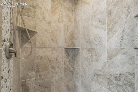 Tiny photo for 85 Estes Circle, Florissant, CO 80816 (MLS # 8451486)