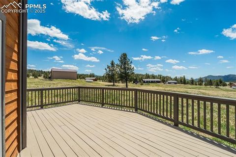 Tiny photo for 85 Estes Circle, Florissant, CO 80816 (MLS # 8451486)