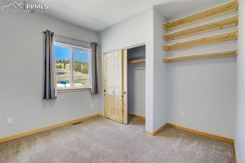 Tiny photo for 85 Estes Circle, Florissant, CO 80816 (MLS # 8451486)