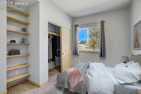 Tiny photo for 85 Estes Circle, Florissant, CO 80816 (MLS # 8451486)