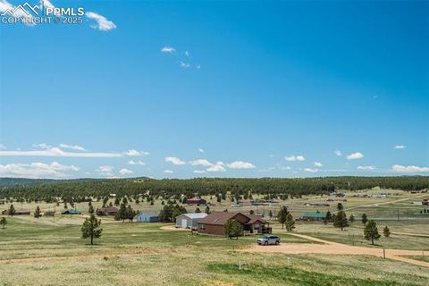 Tiny photo for 85 Estes Circle, Florissant, CO 80816 (MLS # 8451486)