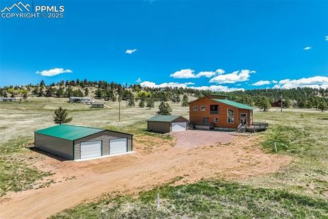 Tiny photo for 85 Estes Circle, Florissant, CO 80816 (MLS # 8451486)