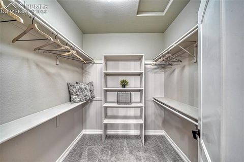 Tiny photo for 16915 Cherry Crossing Drive, Colorado Springs, CO 80921 (MLS # 2693500)