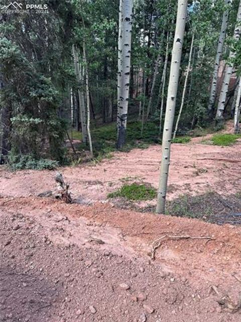 Photo of 1301 Calcite Drive, Divide, CO 80814 (MLS # 6705236)