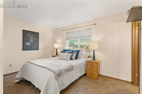 Tiny photo for 483 E Purcell Plaza, Pueblo West, CO 81007 (MLS # 9860611)