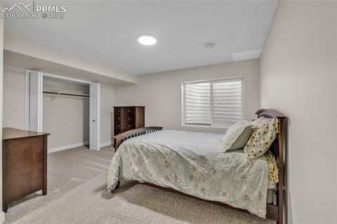Tiny photo for 4519 Fencer Road, Colorado Springs, CO 80911 (MLS # 9766707)