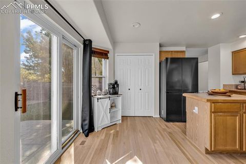 Tiny photo for 4519 Fencer Road, Colorado Springs, CO 80911 (MLS # 9766707)