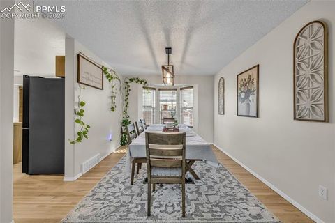 Tiny photo for 4519 Fencer Road, Colorado Springs, CO 80911 (MLS # 9766707)