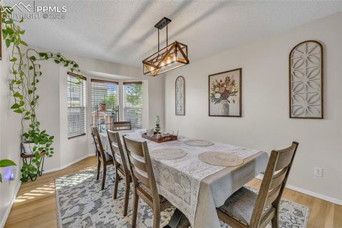 Tiny photo for 4519 Fencer Road, Colorado Springs, CO 80911 (MLS # 9766707)