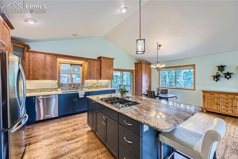 Tiny photo for 2988 Sunnywood Avenue, Woodland Park, CO 80863 (MLS # 6251592)