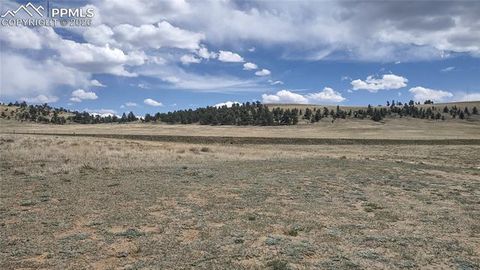 Tiny photo for 128 E Ranger Hill Road, Hartsel, CO 80449 (MLS # 3350517)