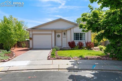 3870 Chinawood Court Colorado Springs CO 80918