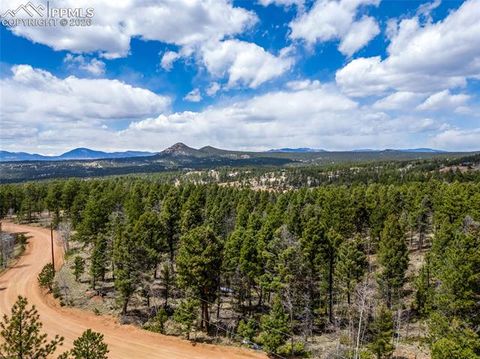 Photo of 451 Chipeta Creek Trail, Florissant, CO 80816 (MLS # 2826690)