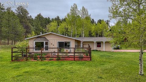 1451 Blackfoot Trail Woodland Park CO 80863