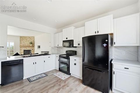 Tiny photo for 1167 Autumn Star Point, Monument, CO 80132 (MLS # 5237816)