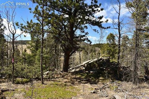 Photo of 289 Timberline Drive, Guffey, CO 80820 (MLS # 2620886)