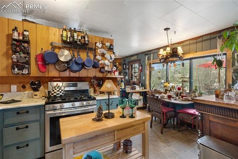 Tiny photo for 10155 Mountain Road, Cascade, CO 80809 (MLS # 8305902)