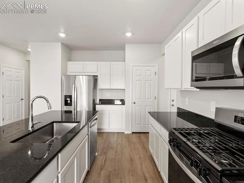 Tiny photo for 11391 Pikeminnow Place, Colorado Springs, CO 80925 (MLS # 4837391)