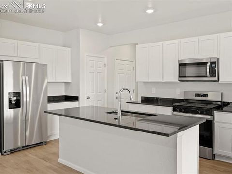 Tiny photo for 11391 Pikeminnow Place, Colorado Springs, CO 80925 (MLS # 4837391)