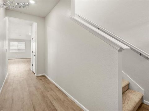 Tiny photo for 11391 Pikeminnow Place, Colorado Springs, CO 80925 (MLS # 4837391)