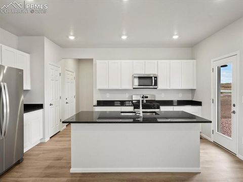 Tiny photo for 11391 Pikeminnow Place, Colorado Springs, CO 80925 (MLS # 4837391)
