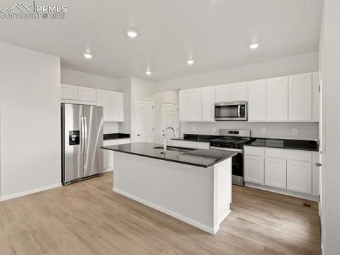 Tiny photo for 11391 Pikeminnow Place, Colorado Springs, CO 80925 (MLS # 4837391)