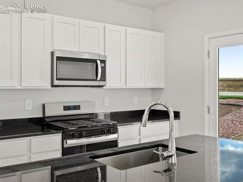 Tiny photo for 11391 Pikeminnow Place, Colorado Springs, CO 80925 (MLS # 4837391)